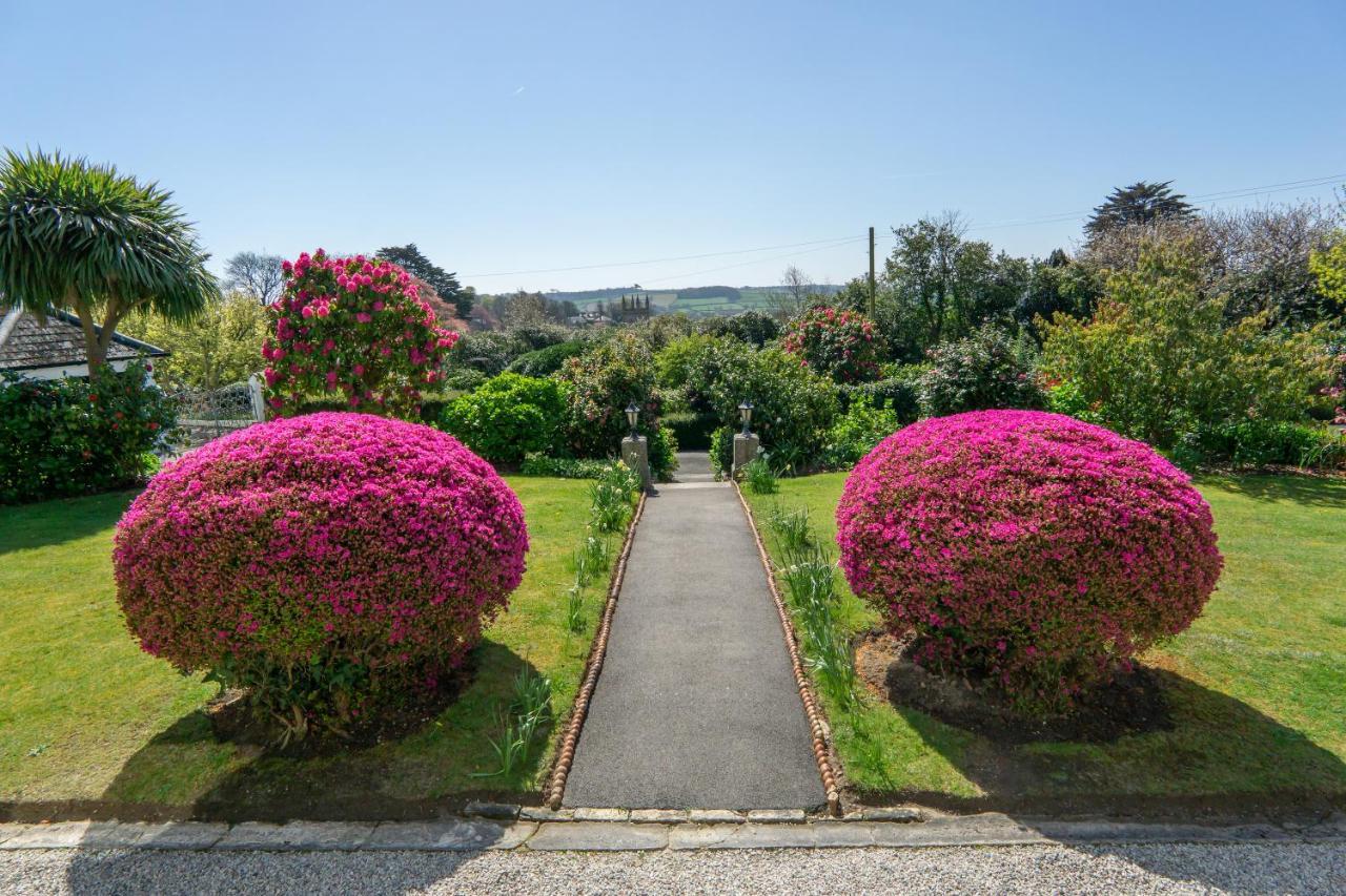 Ivy House Cornwall B&B 세인트오스틀 외부 사진